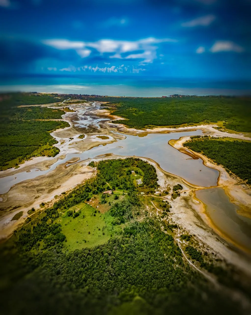 Canais de maré atravessando a vegetação costeira