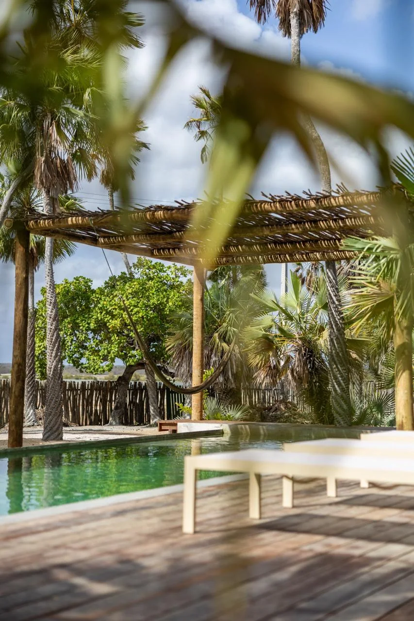 Piscina vista através das carnaubeiras