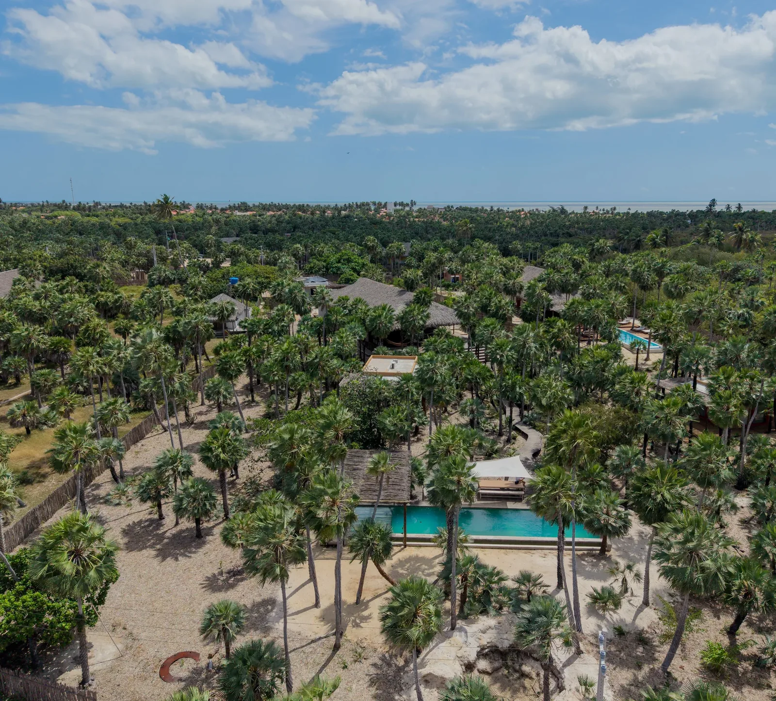 Vista aérea da piscina entre carnaubeiras e bangalôs