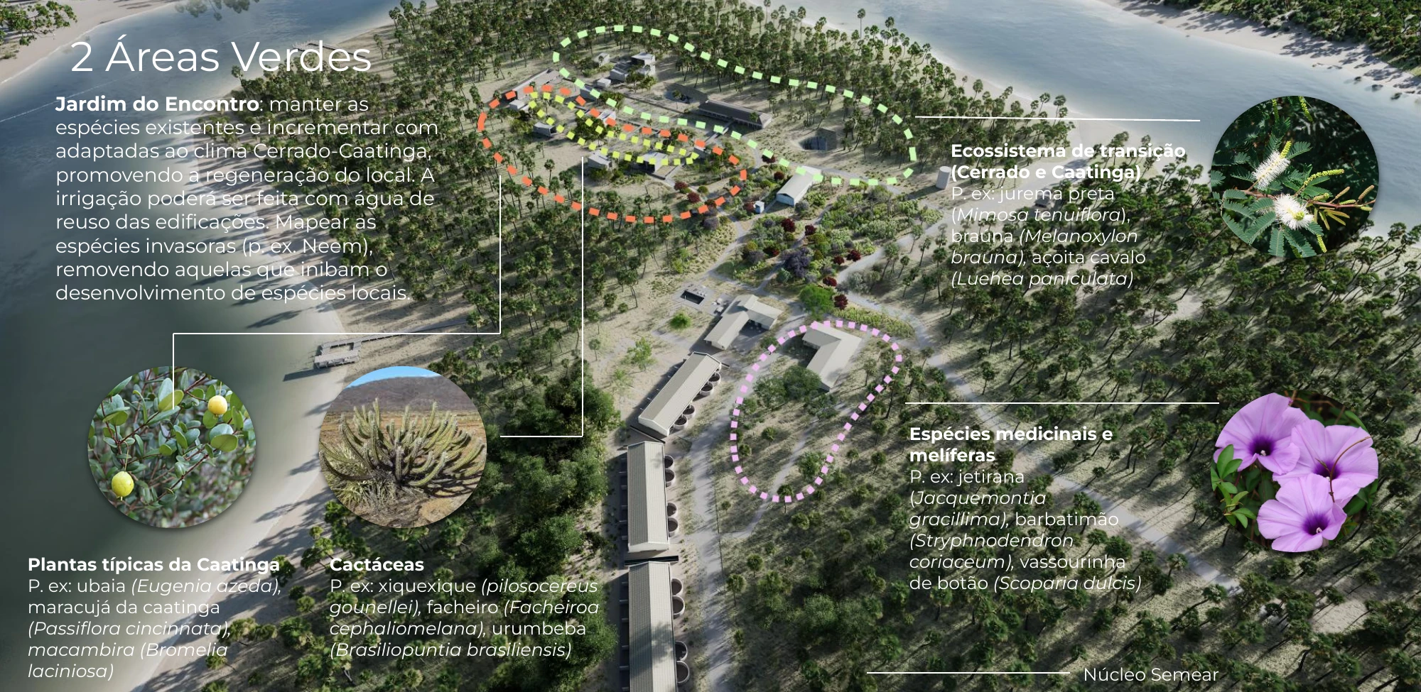 Plano das áreas verdes do hotel com o Jardim do Encontro, espécies da Caatinga, cactáceas, medicinais e melíferas