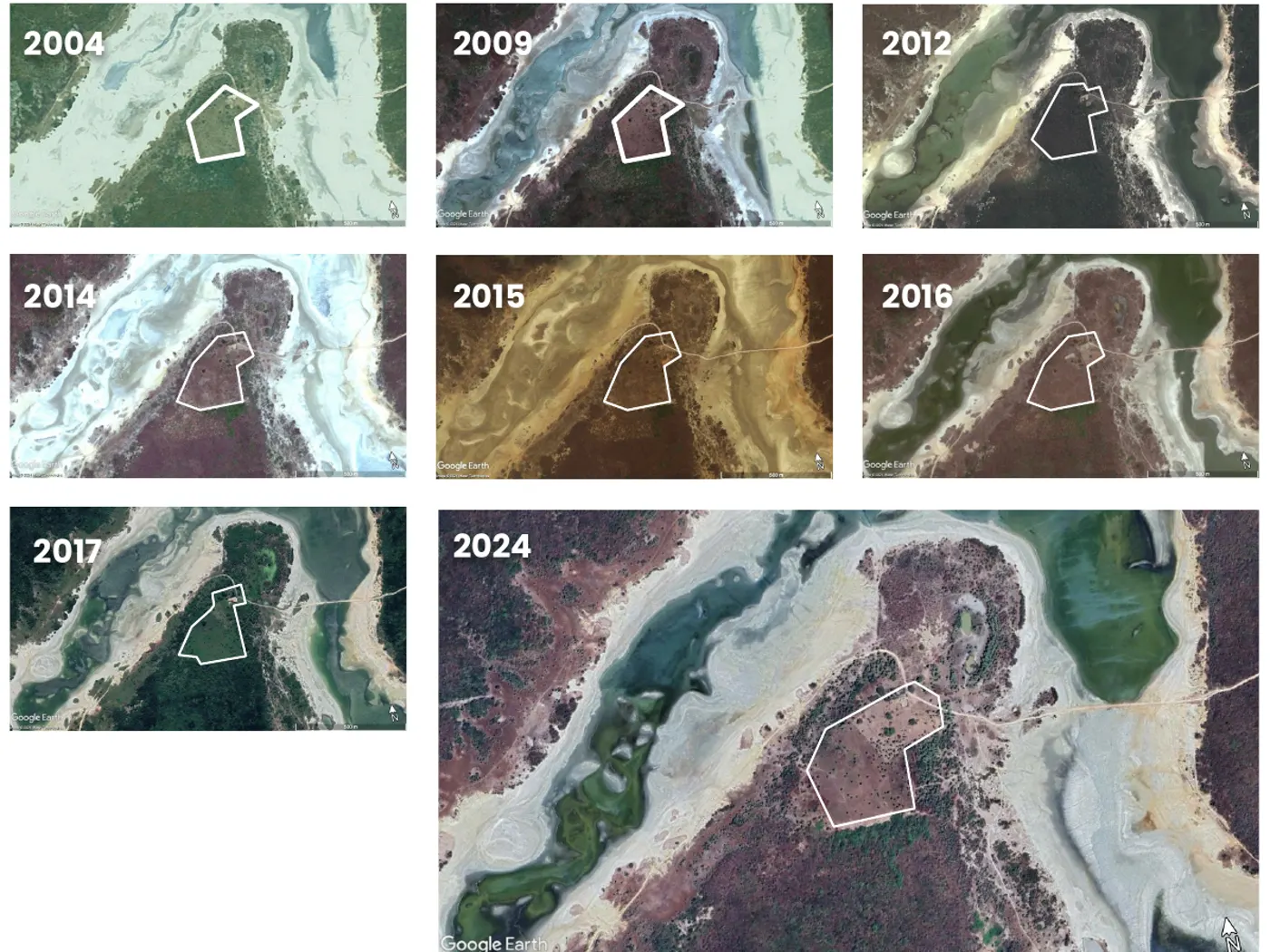 Histórico por imagens de satélite da área cultivada entre 2004 e 2024