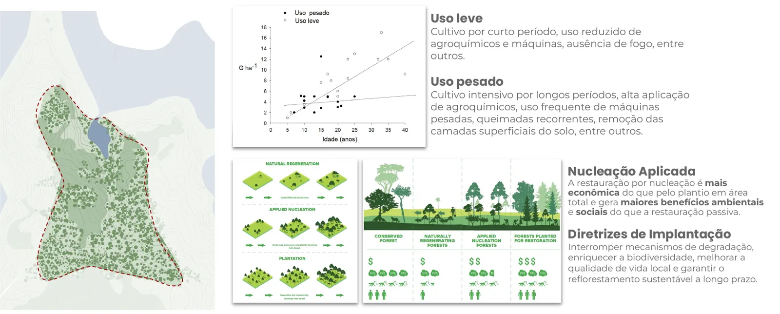 Estudo de regeneração natural e nucleação aplicada no Núcleo Floresta