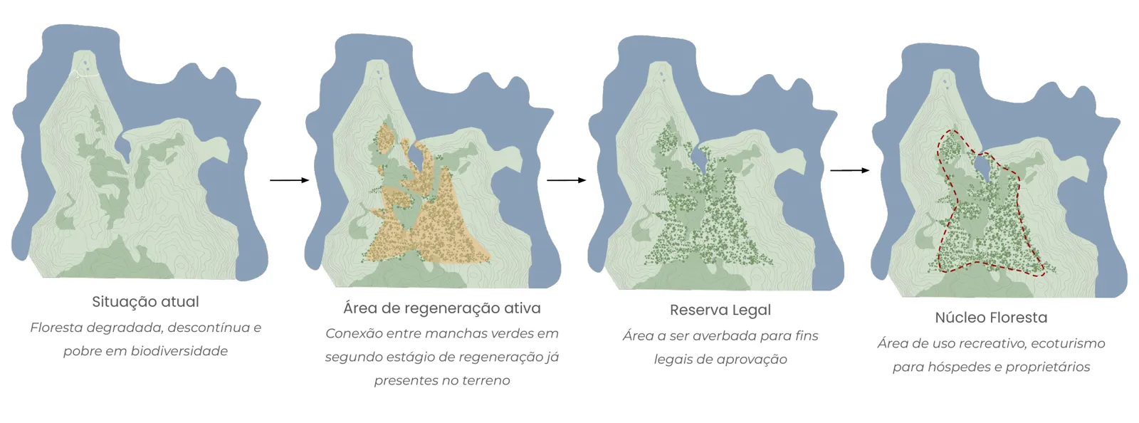 Sequência da situação atual à formação do Núcleo Floresta