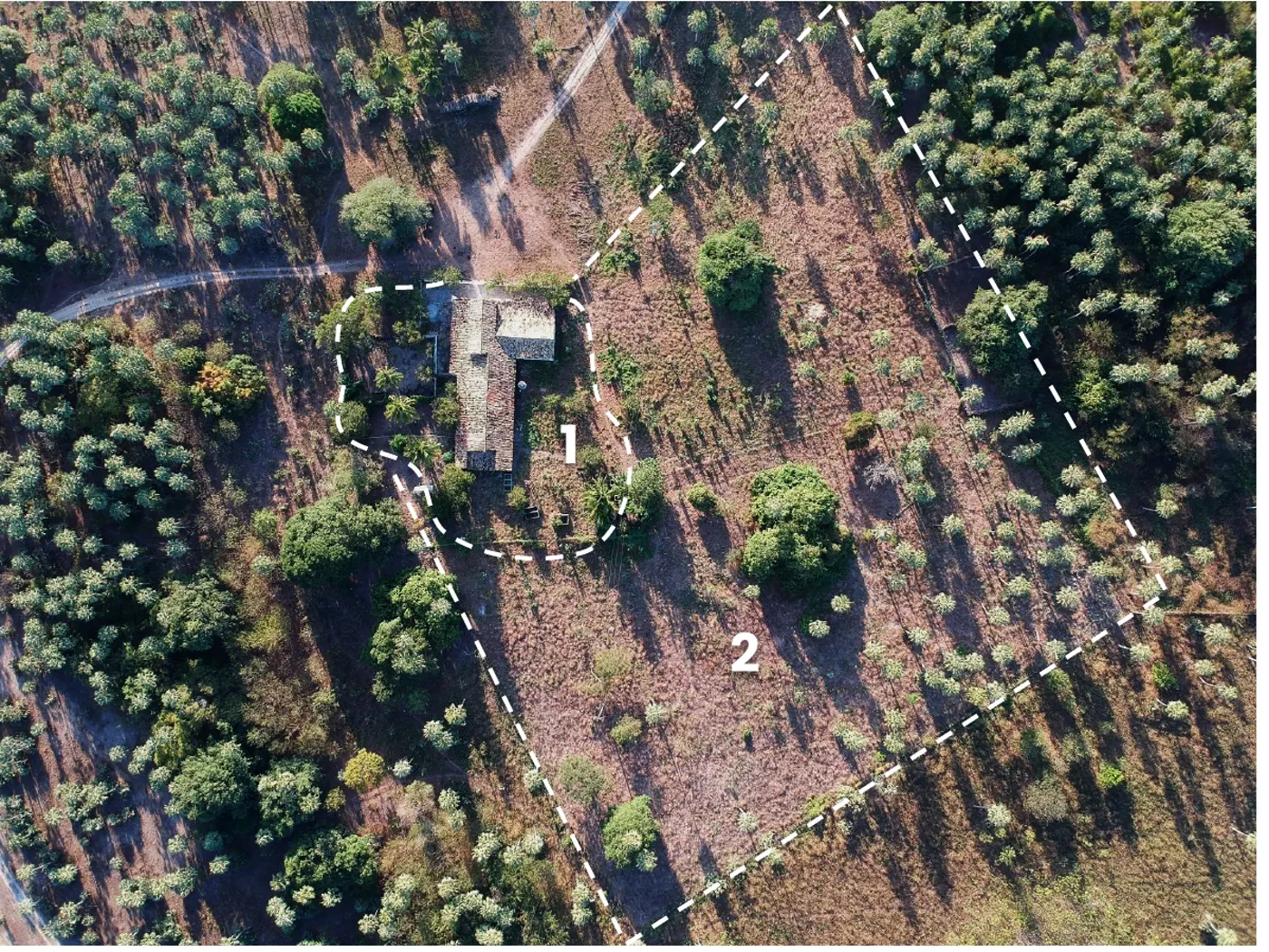 Vista aérea do pomar doméstico e da área de cultivo de grãos