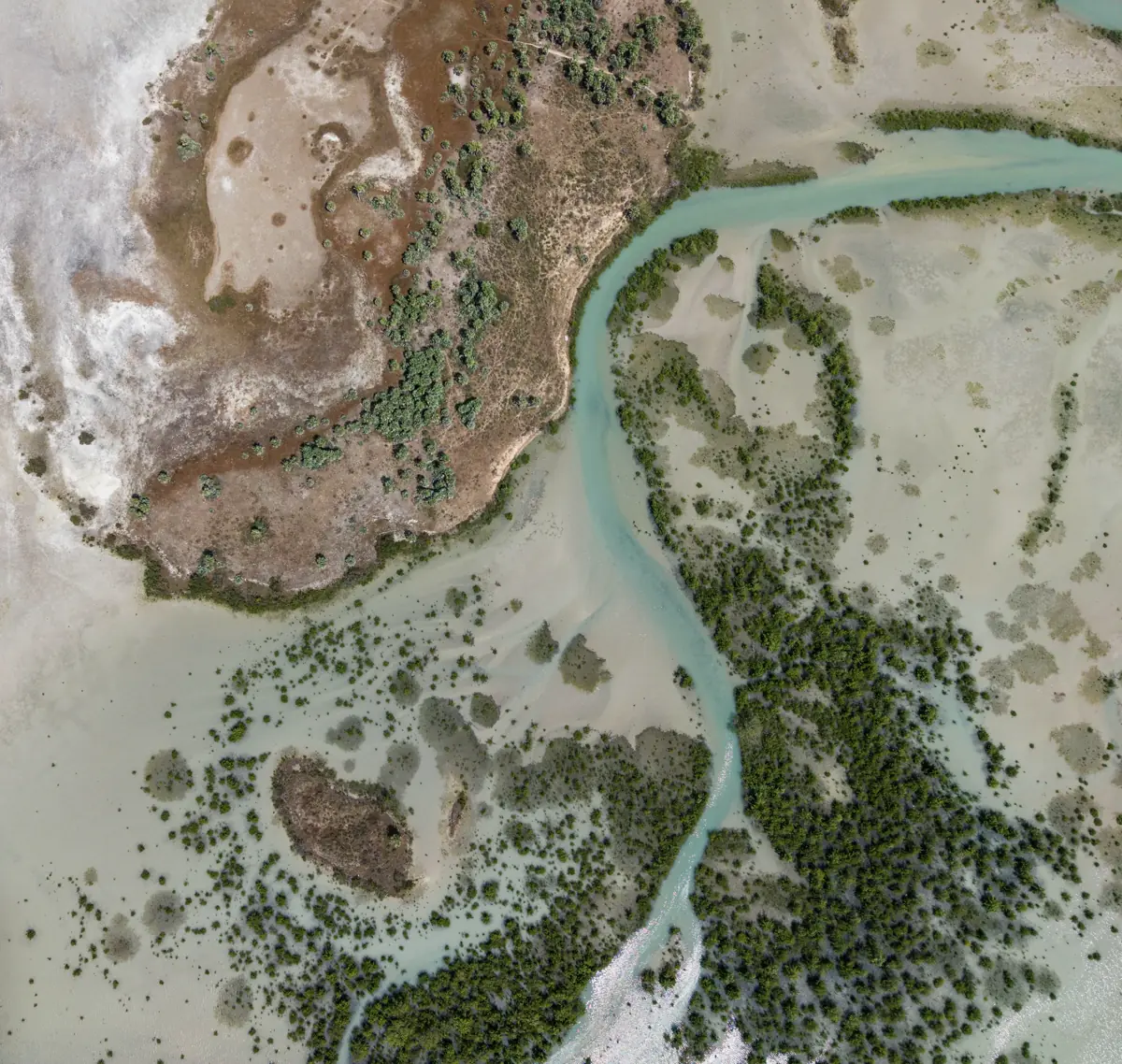 Vista aérea das restingas, manguezais e canais de maré entre a Lagoa do Salgado e o mar